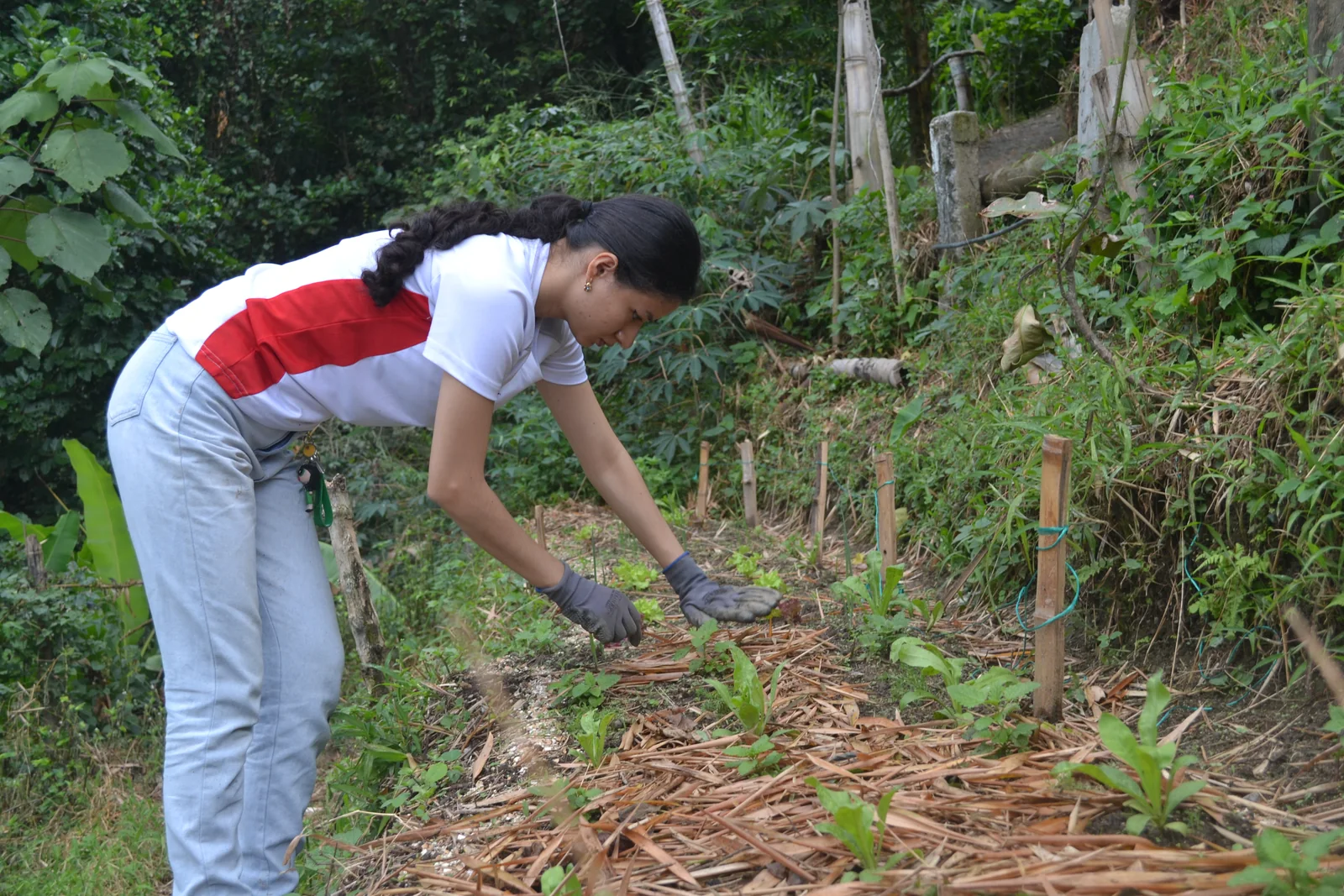 Participante trabajando en una parcela agroecológica