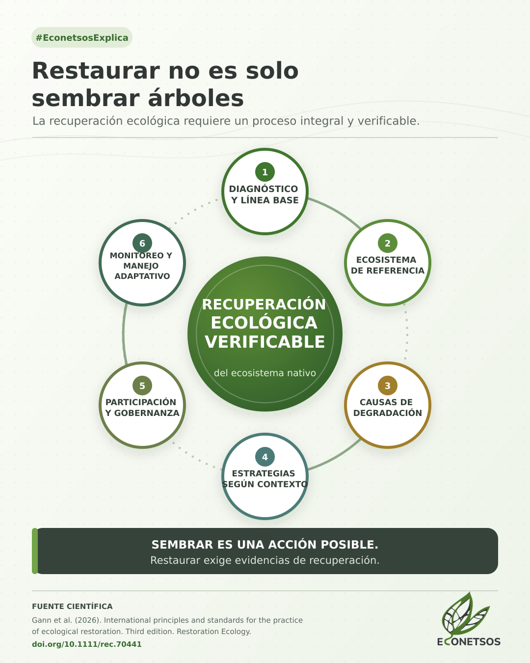 Diagrama circular de Fundación Econetsos con seis componentes de una restauración basada en evidencia: diagnóstico, referencia ecológica, causas de degradación, estrategia contextual, participación y monitoreo adaptativo